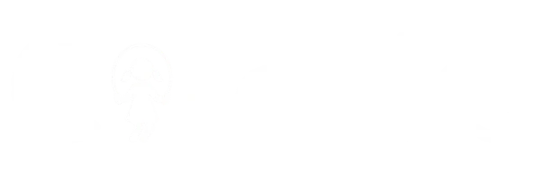 Circulis
